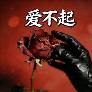 我是真的爱上你（爱不起）