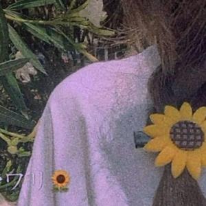 给电影人的情书（单依纯版）