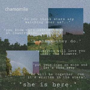 Chamomile