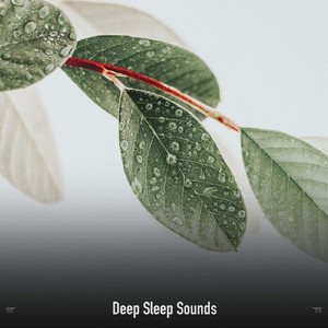 White Noise Low Pass (No Fades)