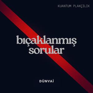 Bıçaklanmış Sorular