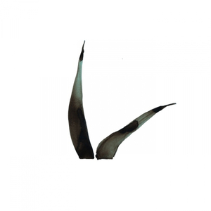 Backyard (Original Mix)