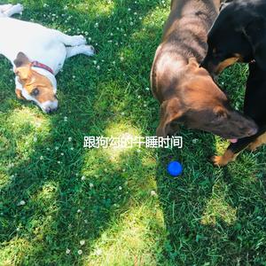 Fun Iconic Flashbacks