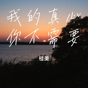 我的真心你不需要