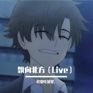 飘向北方（Live）
