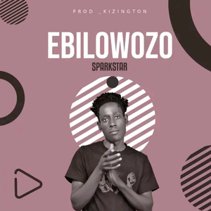 Ebilowozo