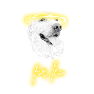 For Leo