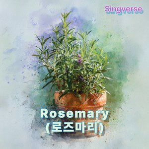 Rosemary(로즈마리)