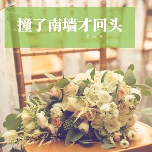 撞了南墙才回头