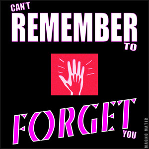 Can't Remember to Forget You (Instrumental Version)
