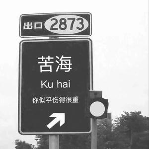 Leessang-沦陷（Hz司令 / 在下一灵 remix）