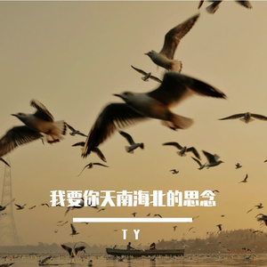 我要你天南海北的思念
