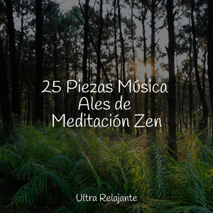 Sonoridades Sensuales