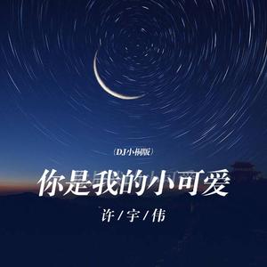 我的世界多了一个你 (DJ版)