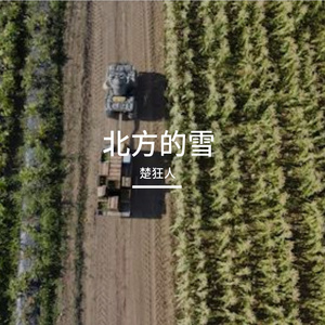 北方的雪