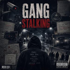 Gang Stalking