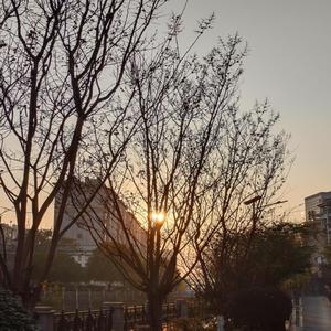 又被生活叫醒了（伴奏）