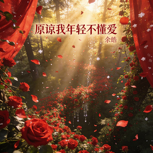 原谅我年轻不懂爱