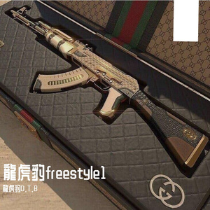 龍虎豹freestyle1