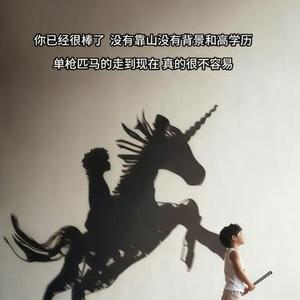 孤勇的勋章