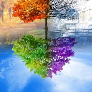 不爱吃萝卜的兔子c