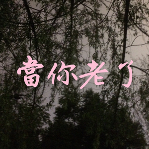 当你老了