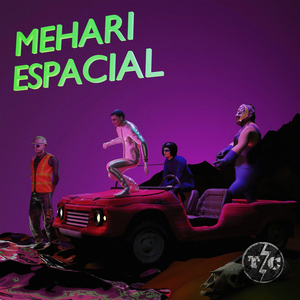 Mehari Espacial