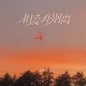 相爱亦别离 (DJ阿卓版)