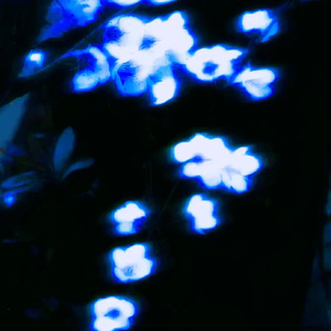 [Free] Ambiance Underground Beat - " Night Sky "