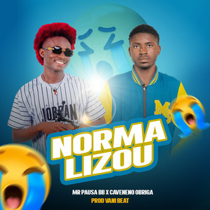 Normalizou