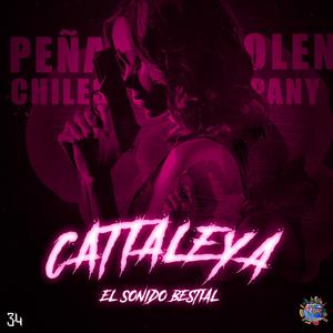 Cattaleya