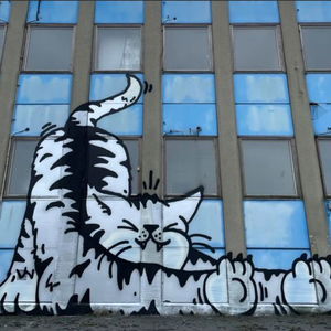 waera x slayr x rexv2 x xtsy type beat