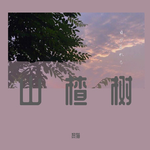 山楂树の恋