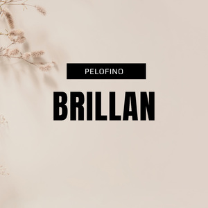 brillan