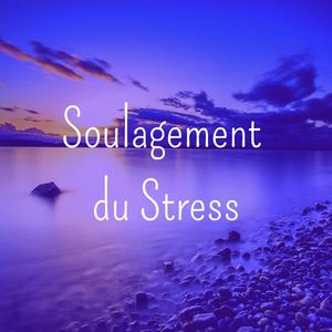 Soulagement du Stress
