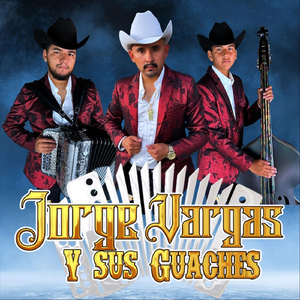 Pertenesco al Cartel Sinaloense (En Vivo)