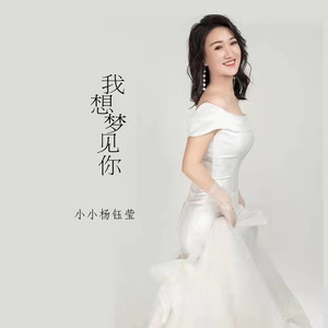 我想梦见你