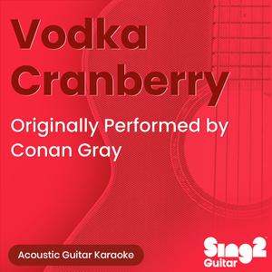 Vodka Cranberry (Originally Performed by Conan Gray) (Acoustic Guitar Karaoke)
