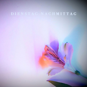 Dienstag nachmittag