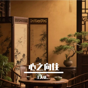 心之向往