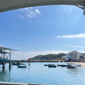 未命名的春天-整曲