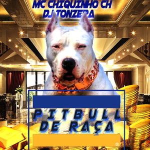 Pitbull de Raça
