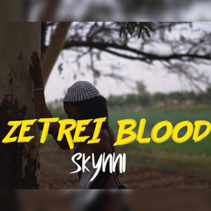 SKYNNI