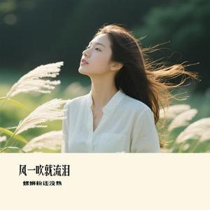 风一吹就流泪 (Cover 向思思)