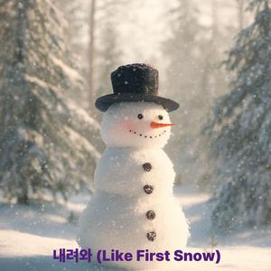 내려와 (Like First Snow)