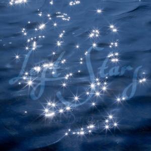 Lost stars（迷失的星星）（电影《Begin Again》插曲）