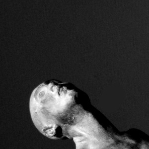 理想三旬（翻自 陈鸿宇）