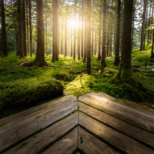 When The Mind Lets Go