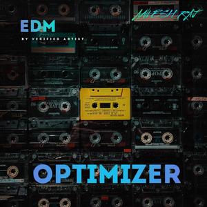 Optimizer