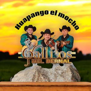 El huapango de el mocho